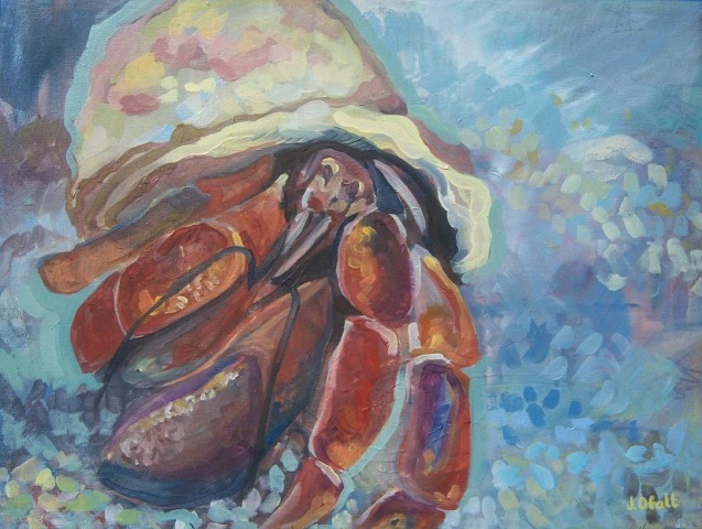 Hermit Crab