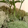 Tropical Victorian