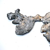 Bastrop Fire Artifact 1