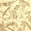 Feathered Flight #2