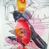 Avian Fancy, detail of mylar drawing
