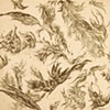 Feathered Flight #1