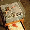 Baghdad Boxes