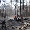 Bastrop Fire Site Cleanup