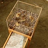 Baghdad Box #4