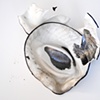 Bastrop Fire Artifact 4