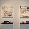 Installation view 2
Drought/Fire/Ash