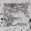Drought/Fire/Ash