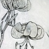 Visuospical Sketchpad (detail 01)