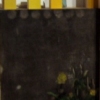 The Substitute Garden (angle II with appendages)