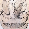 The Substitute Garden (double container detail)