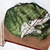 Part of the Field (detail 02)