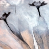 Graft (detail)