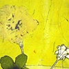 Plus or Minus Two (detail 02)