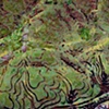The Steepness of Slopes (detail)