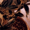 Aboveboard (detail)