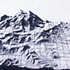 Dropleaf (detail)