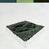 Self Image of a Region