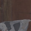 Cows at Fenway