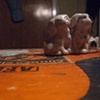 little dogs