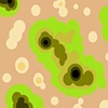 Swamp Fetus