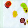 Organelles