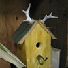 Birdhouse with Antlers