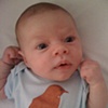 Copper Starling Onesie