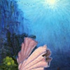Wall Flower