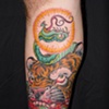 tiger snake