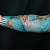 blue koi