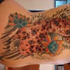 spotted koi