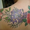 flowers2