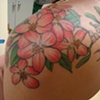 flowers1