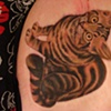 kitty