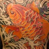 koi