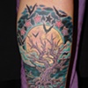 cliff tree