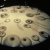 Drops (detail)