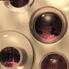 Reflecting on Japan (detail)