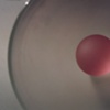 LIght Cones (detail)