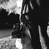 [handsome bags]