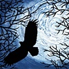 Night Flight