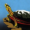 Painted Turtle