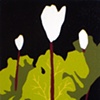 Bloodroot