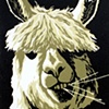 Alpaca
