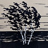 Lake Michigan Wind