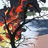 Burning the Old Growth