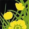 Buttercup