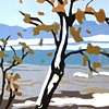 Birch