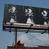 Crimson and Clover, Billboard